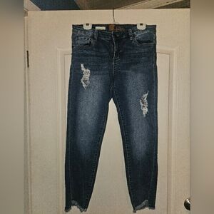 Kut From The Kloth Janet Ankle Skinny Blue Jeans